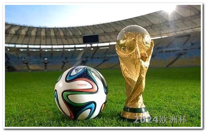 2023世界杯足球