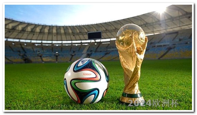 欧洲杯 用什么软件买球票啊视频教程 欧洲杯2024赛程小组分组