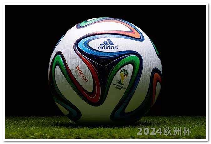 2024年有世界杯吗