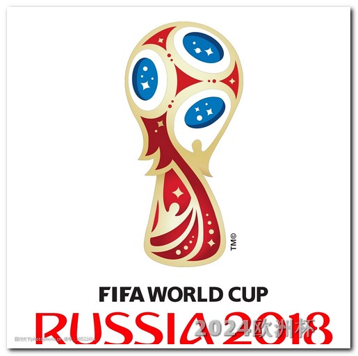 2024年世界杯举办国家欧洲杯决赛球迷闯入赛场