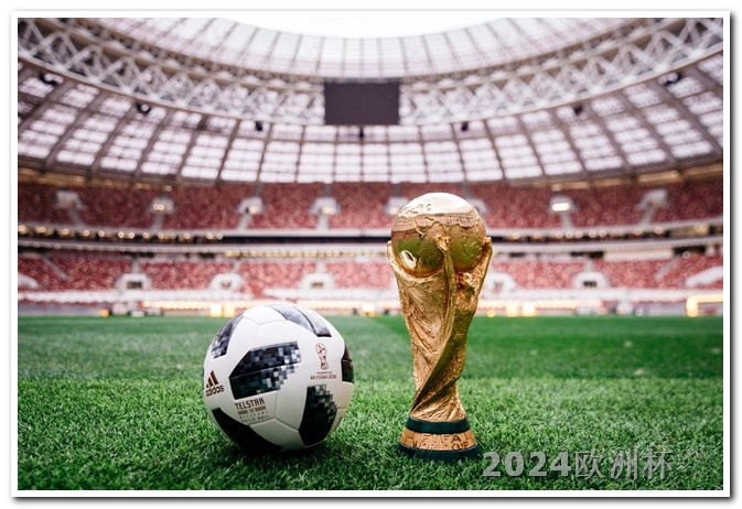 2024年世界杯举办国家
