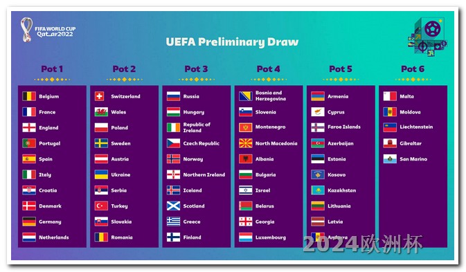 欧洲杯买球投注官网查询网址 下一个世界杯在哪个国家举行