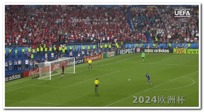 欧洲杯球票怎么买 2024年欧洲杯举办时间