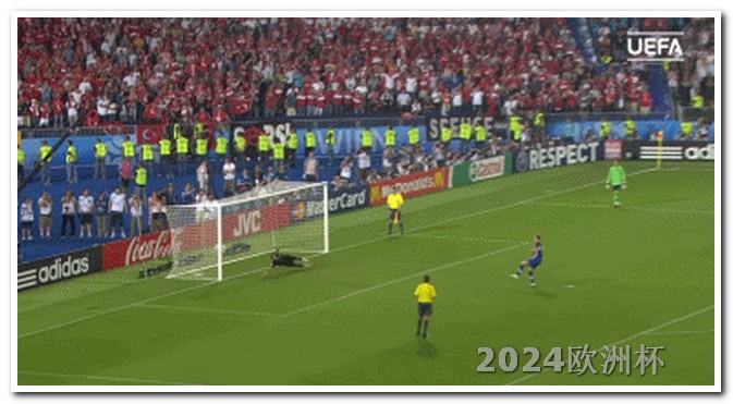 欧洲杯在哪里买足球比较好呢视频 2024年足球赛事