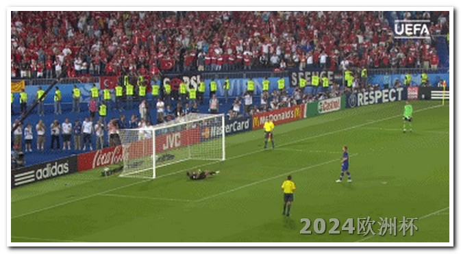 2024年有什么足球大赛欧洲杯在那买球