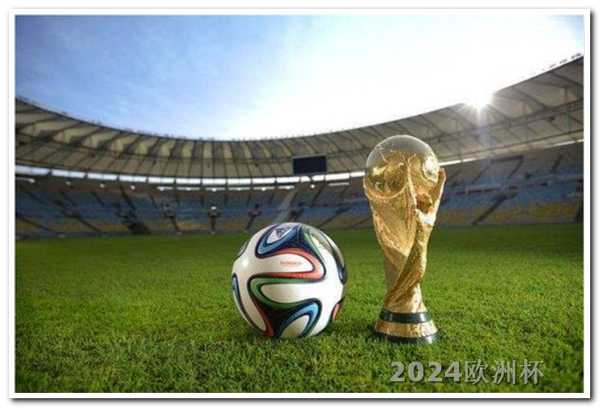 2024年有世界杯吗哪个网可以买欧洲杯足球比赛票