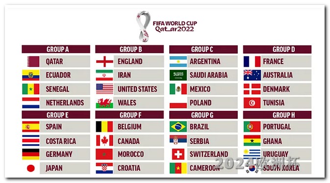 2021欧洲杯去哪里投注球员最多 下次世界杯在哪个国家