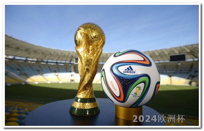 明年欧洲杯在哪能买到球衣呢图片大全 2023年体育重要赛事