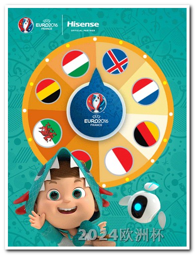 欧洲杯决赛体育频道回放在线观看 世界杯2024在哪个国家