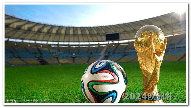 欧洲杯体彩网上怎么买的彩票 2024年世界杯举办国家