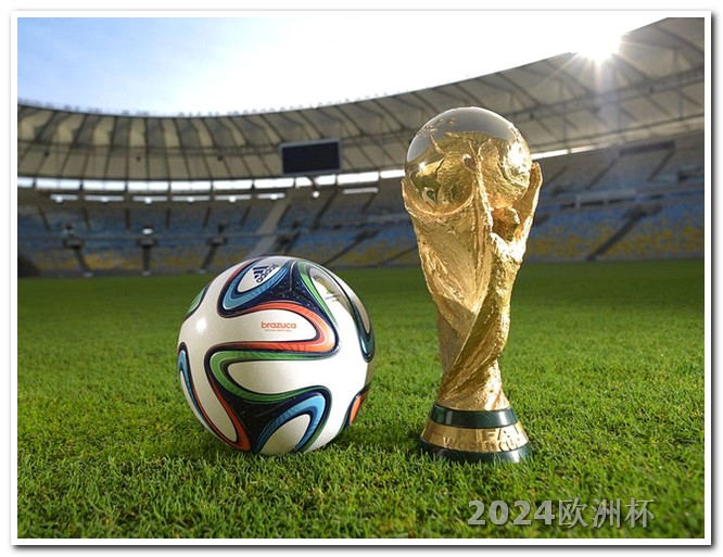 2024年世界杯举办国家足球欧洲杯哪里买球好