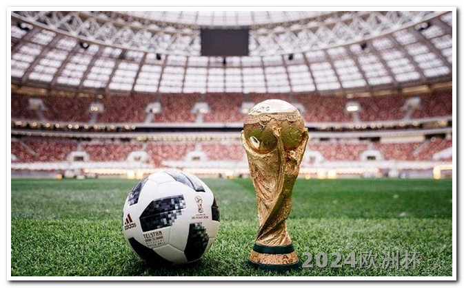 哪里可以买到欧洲杯彩票呢视频 2023年的世界杯